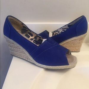 Blue Wedges